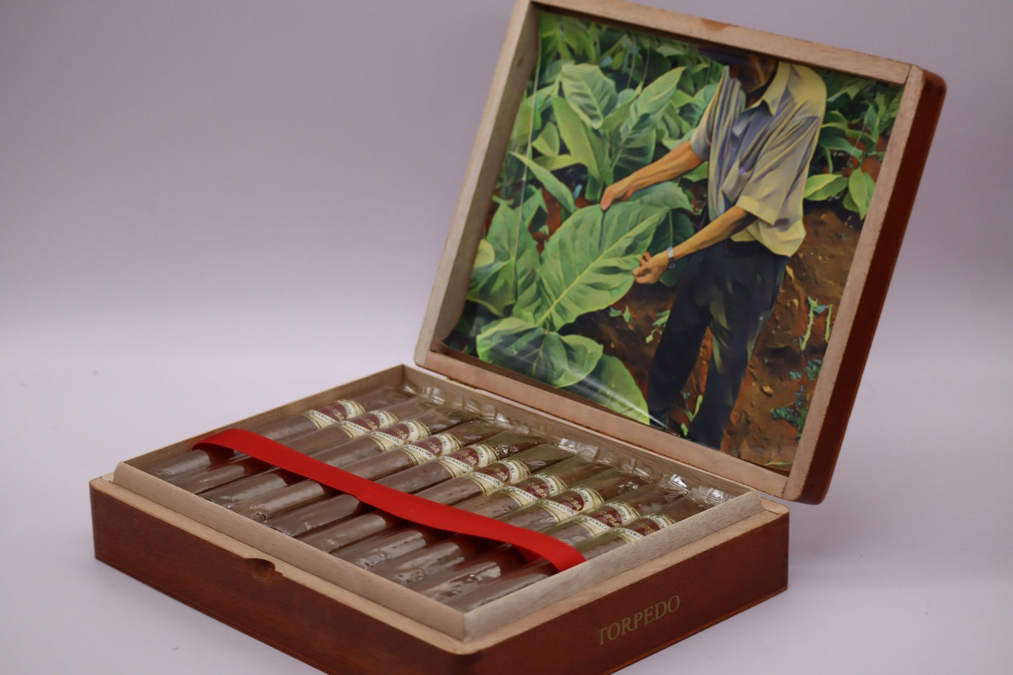 Buena Cosecha Torpedo - racccigarsclub