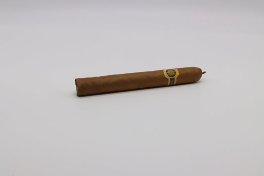 Warped La Colmena No44  - racccigarsclub
