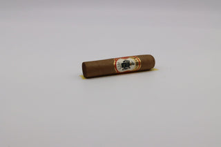 ROJO short Robusto - racccigarsclub