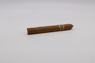 Warped La Colmena No44　 - racccigarsclub